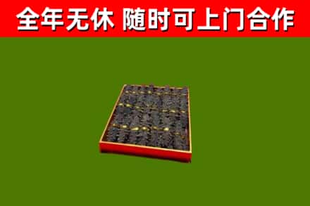 蔚市回收海参
